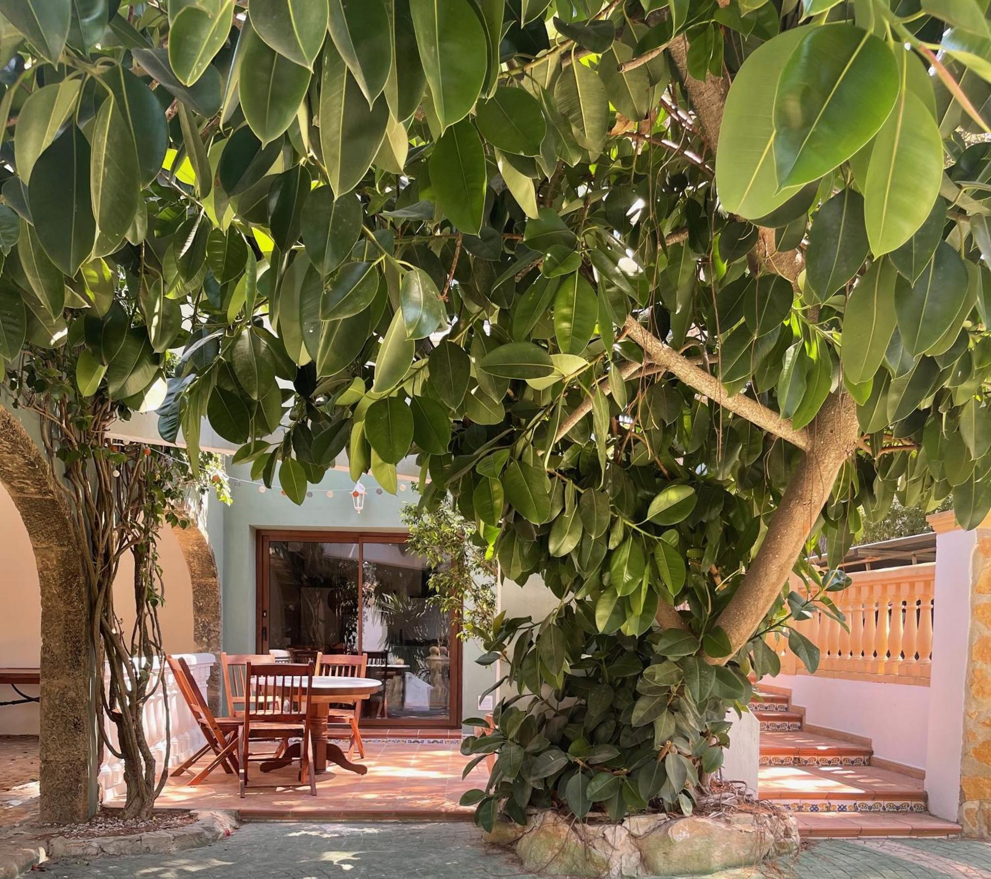 La Paradiso Appartement *